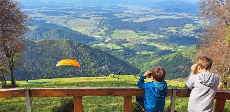 11 mini tabor hb  14